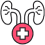 Internal Medicine